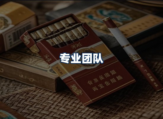 专业团队